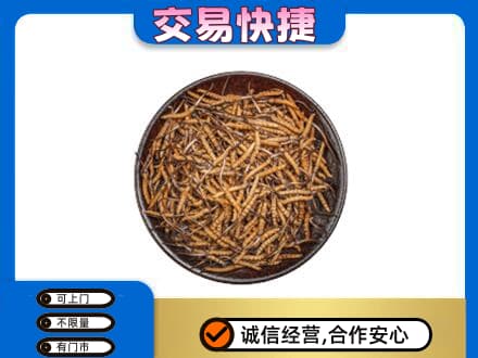 广州回收散虫草