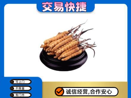 广州礼品回收散虫草.jpg